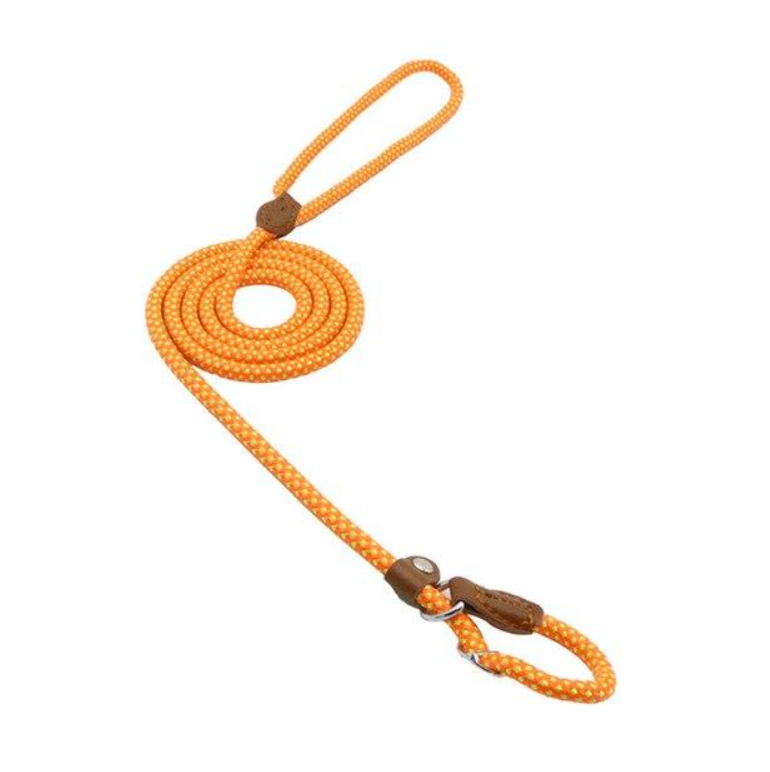 Nylon Pup Set
